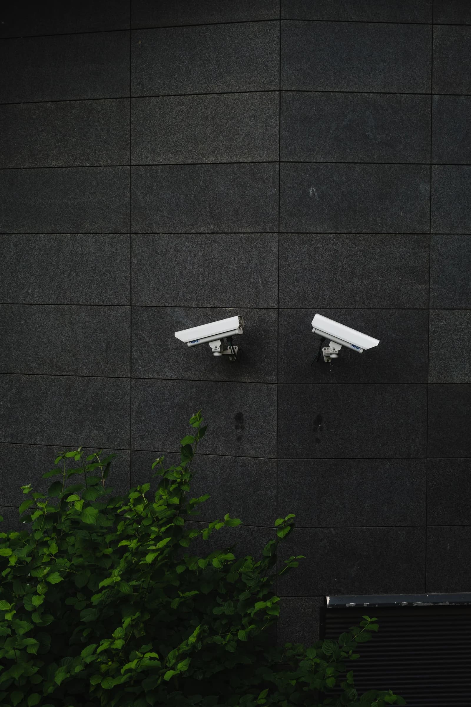 Cámaras de videovigilancia sobre una fachada de acabado oscuro